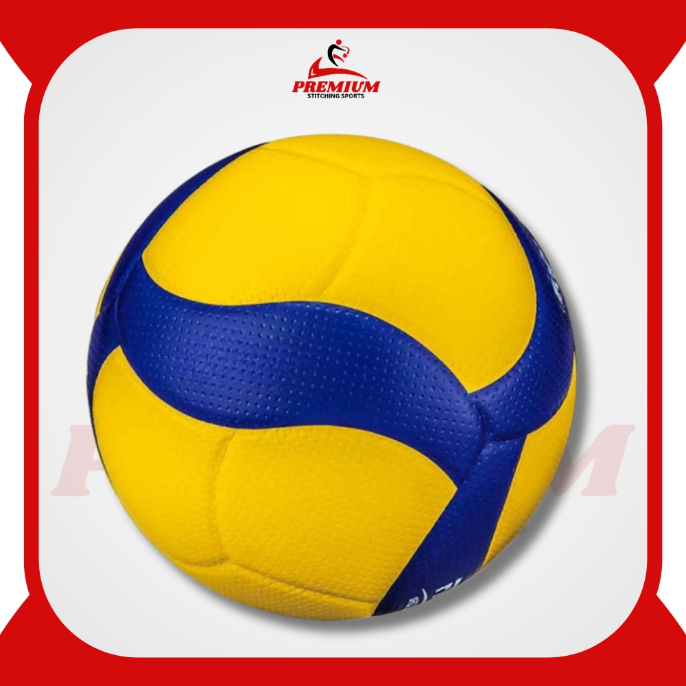 Volleyballs204.webp